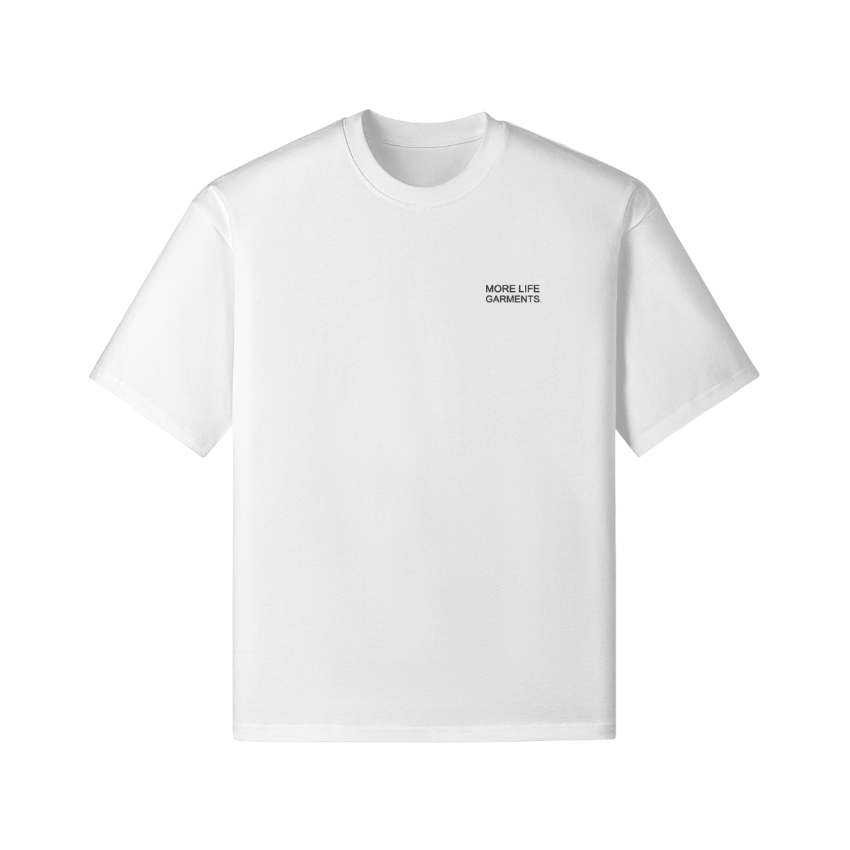 Alternative Worldview Oversized T-Shirt